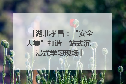 湖北孝昌：“安全大集”打造一站式沉浸式学习现场